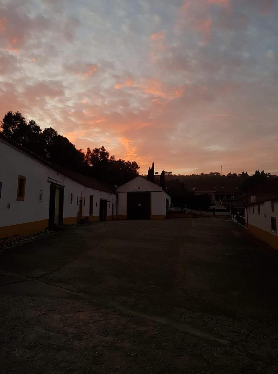 Horse Riding Country House Vila Franca de Xira Buitenkant foto