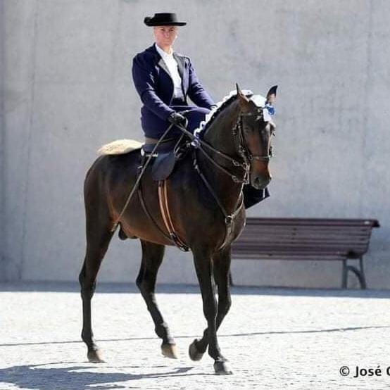 Horse Riding Country House Vila Franca de Xira Buitenkant foto