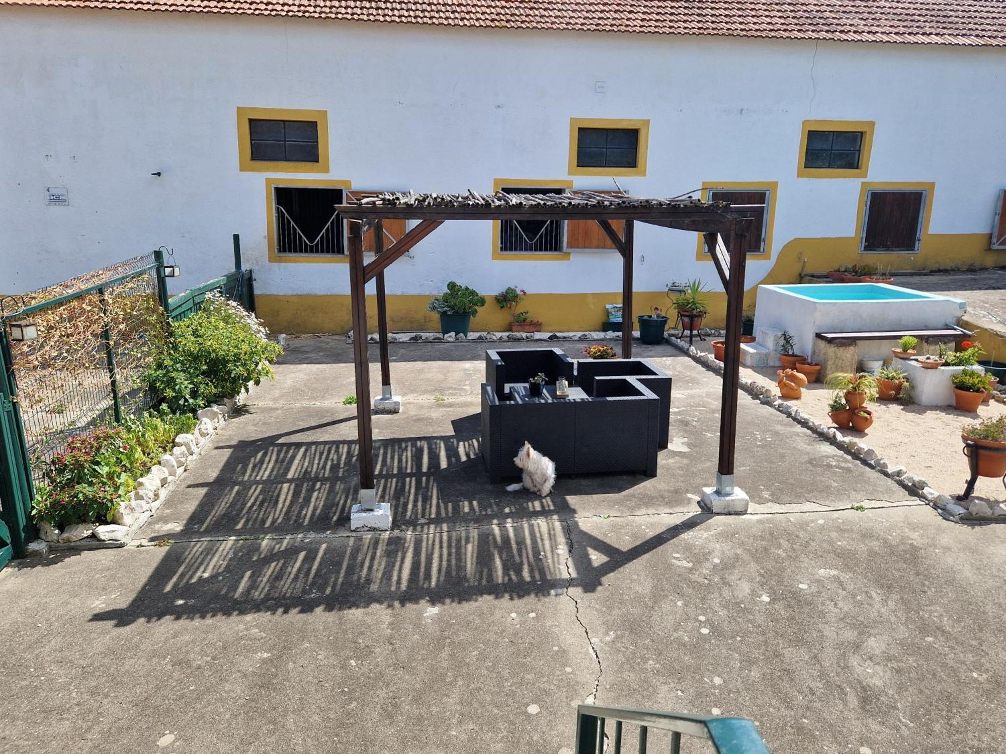 Horse Riding Country House Vila Franca de Xira Buitenkant foto