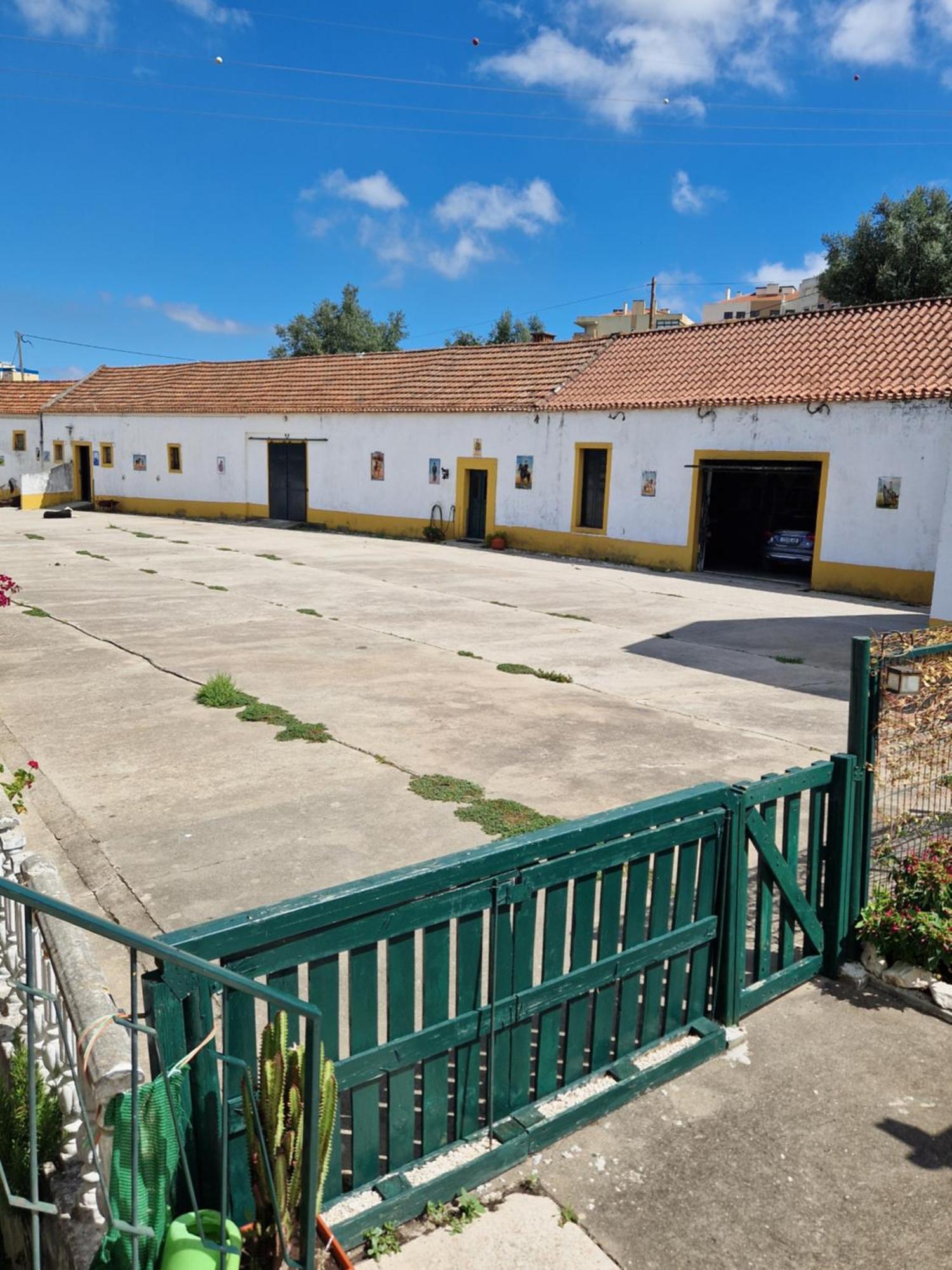 Horse Riding Country House Vila Franca de Xira Buitenkant foto