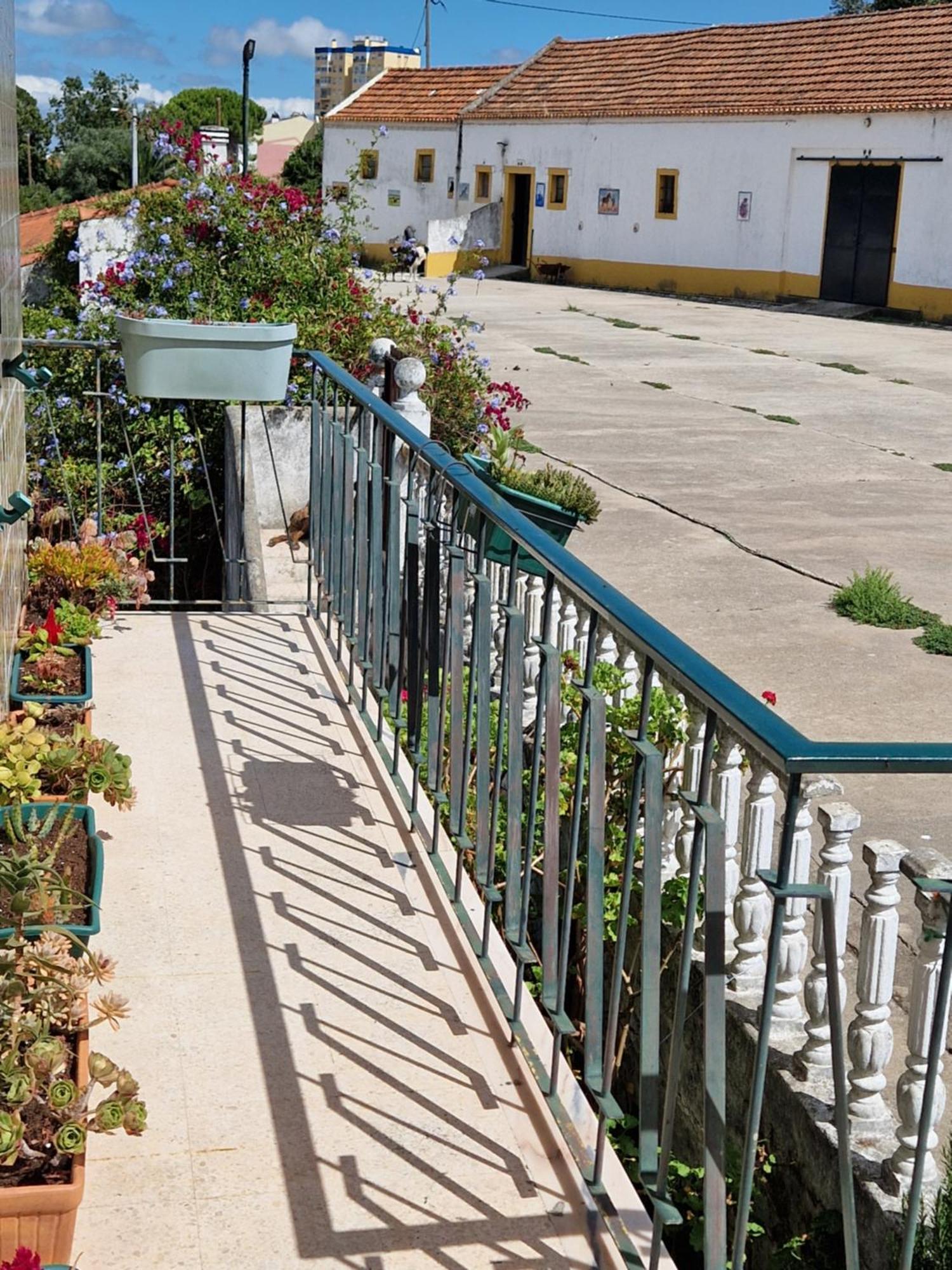 Horse Riding Country House Vila Franca de Xira Buitenkant foto