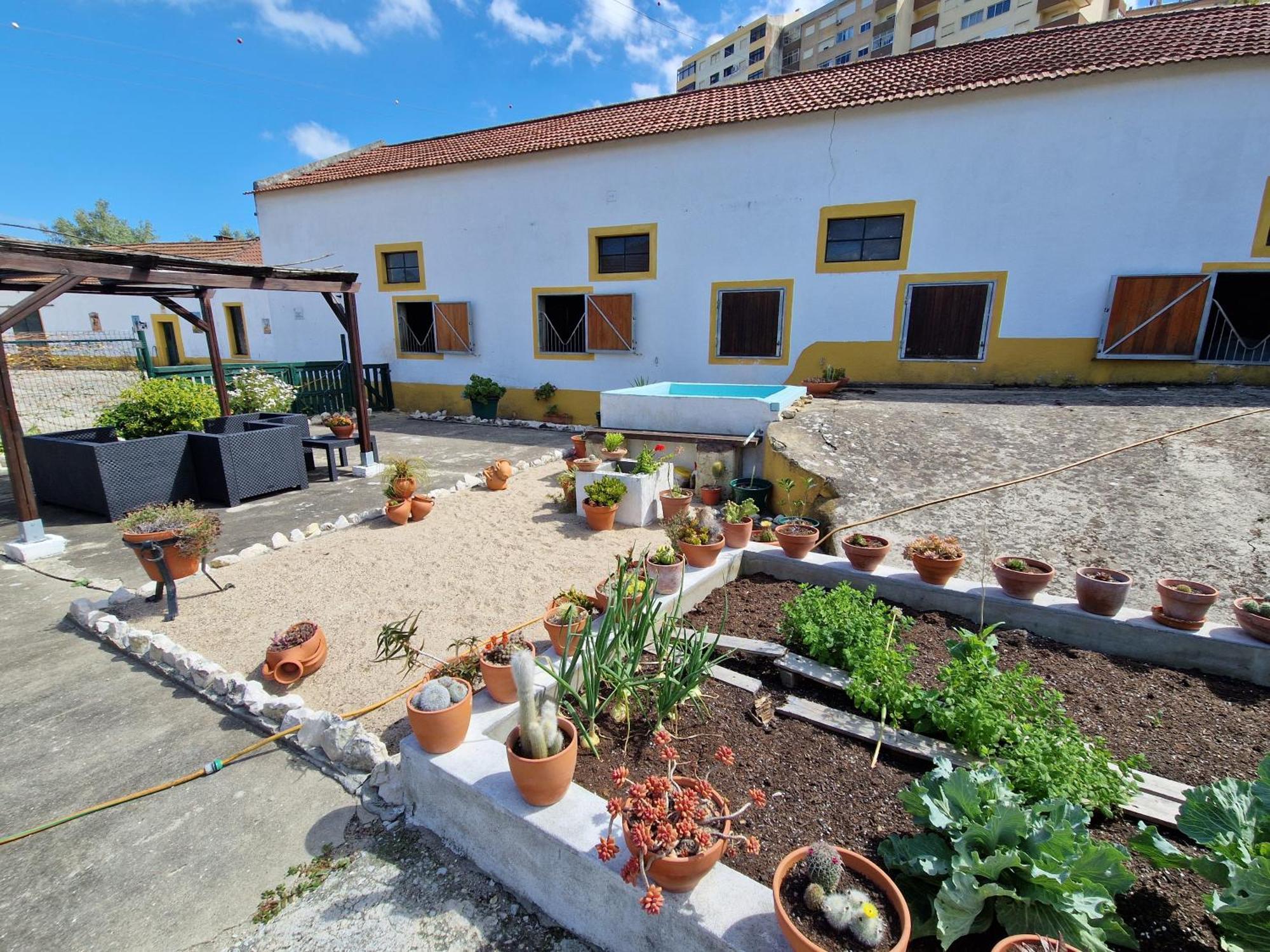 Horse Riding Country House Vila Franca de Xira Buitenkant foto