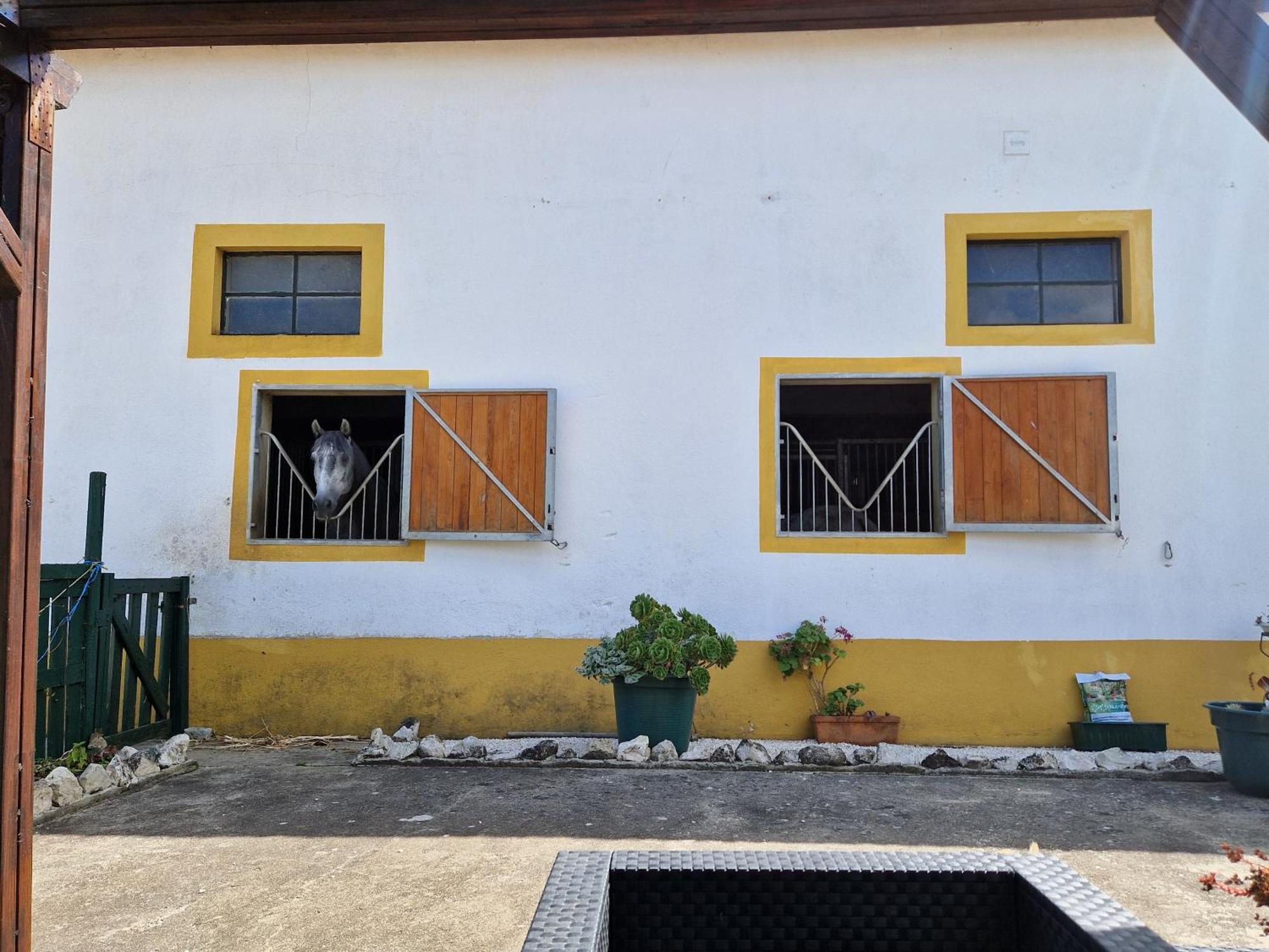 Horse Riding Country House Vila Franca de Xira Buitenkant foto