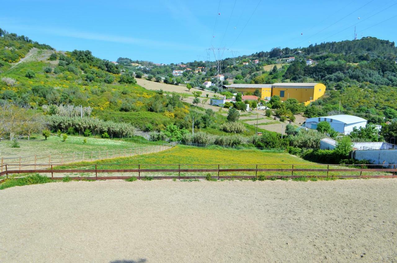 Horse Riding Country House Vila Franca de Xira Buitenkant foto